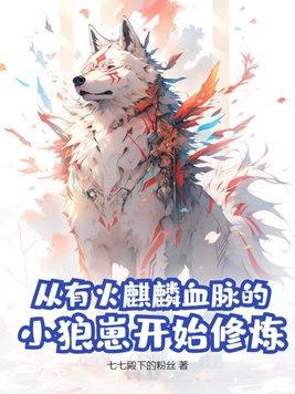 王妃把符画猛了百度