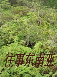 洪荒杀爆鸿钧爱看书吧